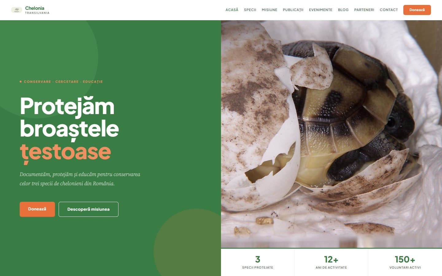Chelonia Transilvania - ONG Conservare